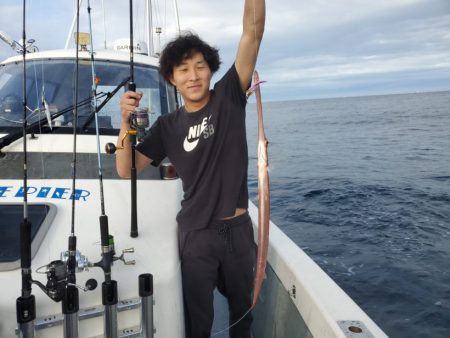 ブルーピア 釣果