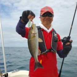 ブルーピア 釣果