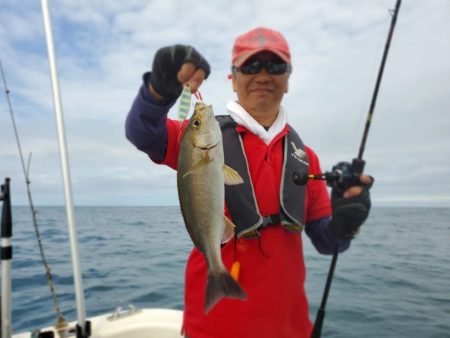 ブルーピア 釣果