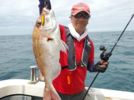ブルーピア 釣果