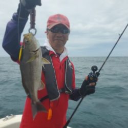 ブルーピア 釣果