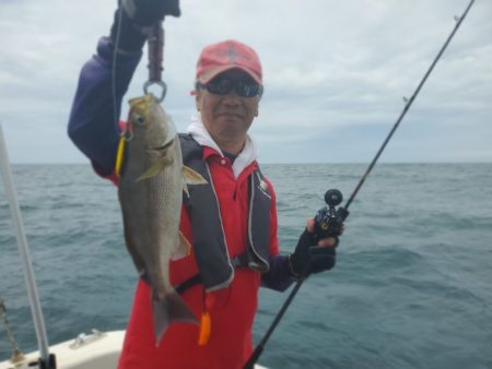 ブルーピア 釣果