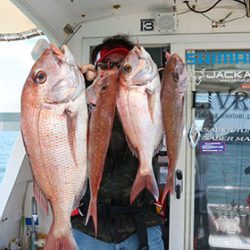 松本釣船２ 釣果