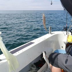 松本釣船２ 釣果