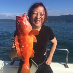 マタウマリンサービス 釣果