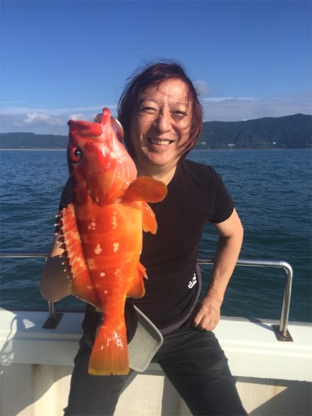 マタウマリンサービス 釣果