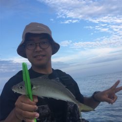 マタウマリンサービス 釣果