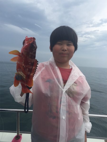 マタウマリンサービス 釣果