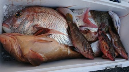 オーフリー 釣果