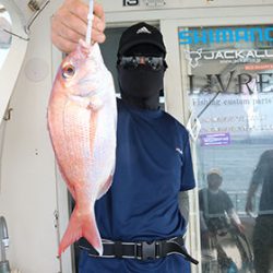 松本釣船２ 釣果