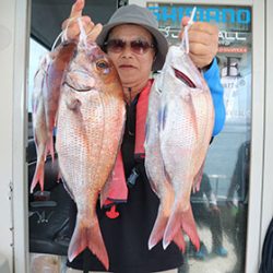 松本釣船２ 釣果