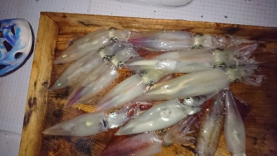 海龍丸（福岡） 釣果