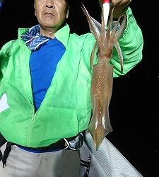 海龍丸（福岡） 釣果