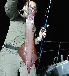 海龍丸（福岡） 釣果