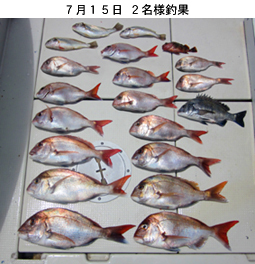 来温丸（らいおんまる） 釣果