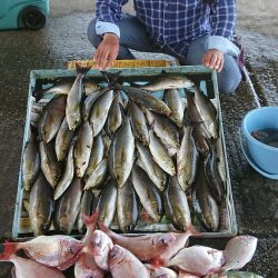 明神釣船 釣果