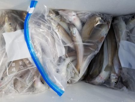 オーフリー 釣果