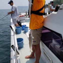 オーフリー 釣果