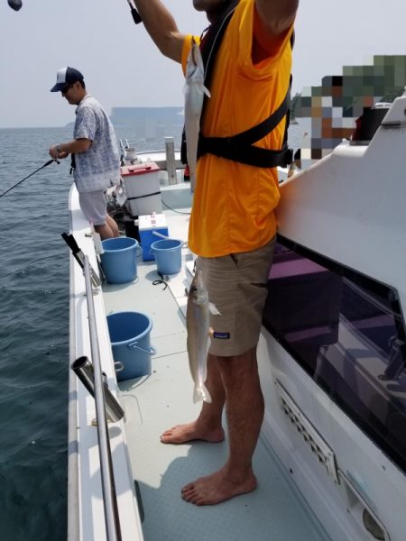 オーフリー 釣果