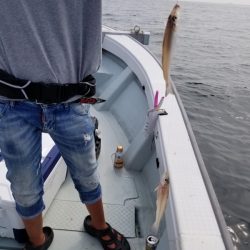 オーフリー 釣果