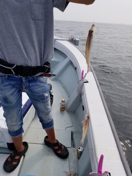 オーフリー 釣果