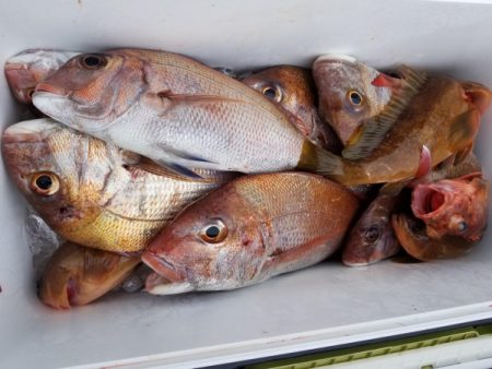 オーフリー 釣果