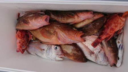 オーフリー 釣果