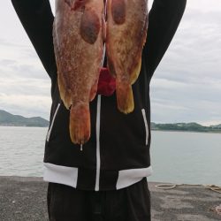 オーフリー 釣果