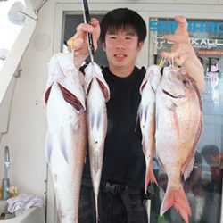 松本釣船２ 釣果