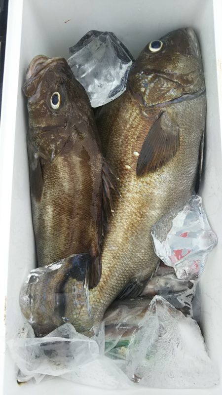 モンロー号 釣果