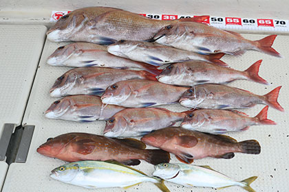 松本釣船２ 釣果