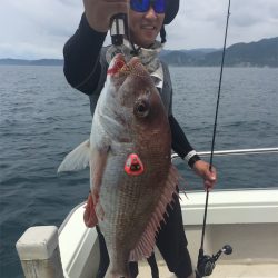 マタウマリンサービス 釣果