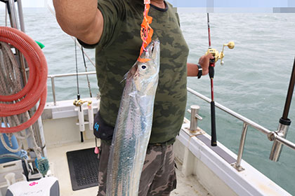 松本釣船２ 釣果