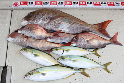 松本釣船2 釣果