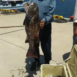 モンロー号 釣果