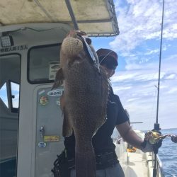 マタウマリンサービス 釣果