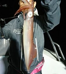 海龍丸(福岡) 釣果