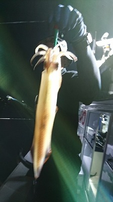 海龍丸(福岡) 釣果