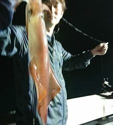 海龍丸(福岡) 釣果