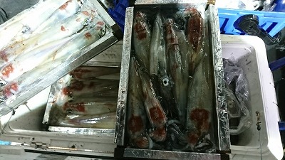 海龍丸(福岡) 釣果