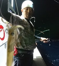 海龍丸(福岡) 釣果