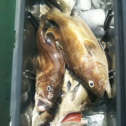 モンロー号 釣果