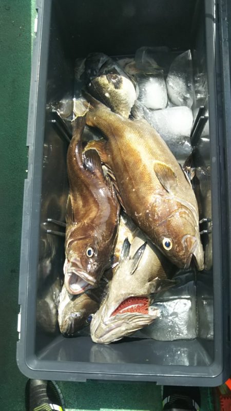 モンロー号 釣果