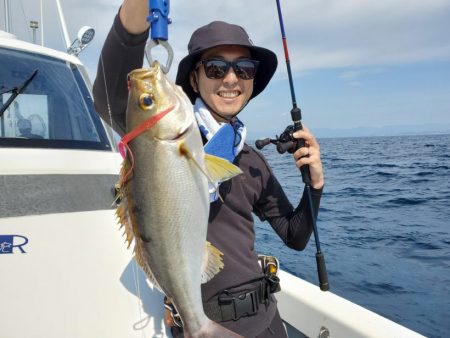 ブルーピア 釣果