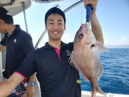 ブルーピア 釣果