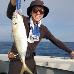 ブルーピア 釣果