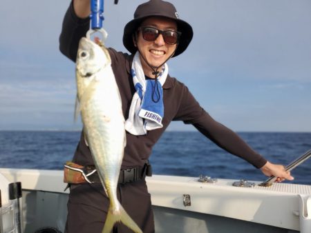 ブルーピア 釣果