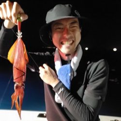 ブルーピア 釣果