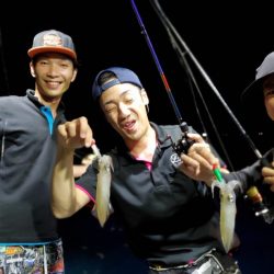 ブルーピア 釣果