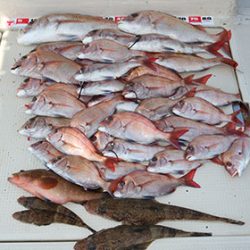 松本釣船2 釣果